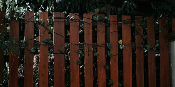 Close-up view of a wooden fence with vines and greenery
