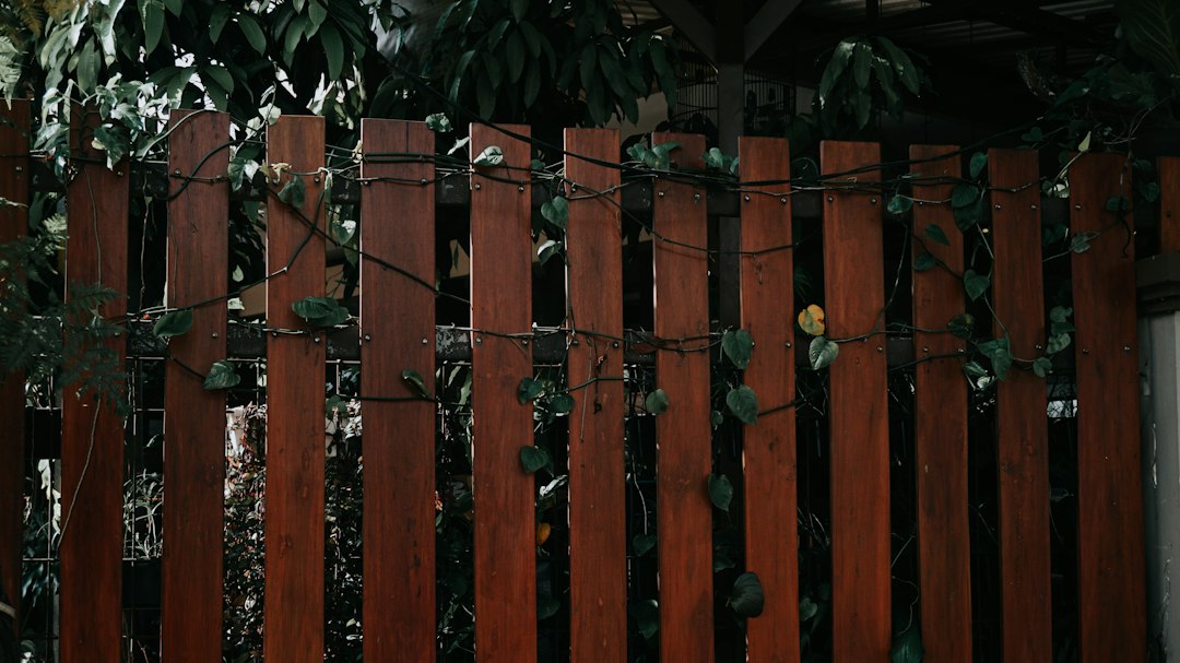 Close-up view of a wooden fence with vines and greenery