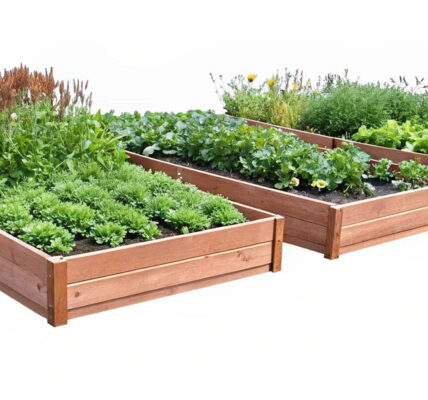 three raised garden beds filled with various plants and vegetables