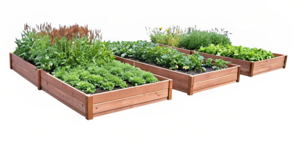 three raised garden beds filled with various plants and vegetables